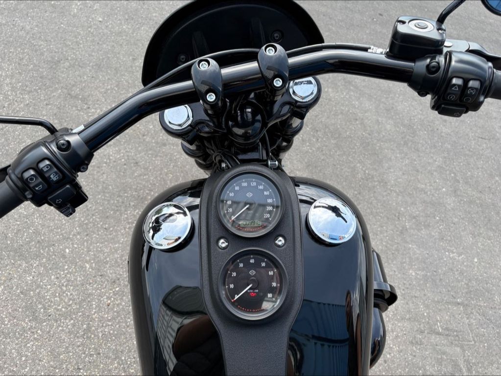 Harley-Davidson FXDLS, Bild 8 von 8